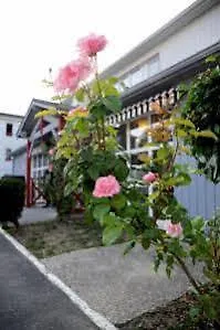 Balladins Chelles Hotel